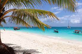 Sandy beach with turquoise waters under a clear blue sky